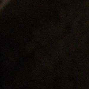 Meet your Posher, Daniela